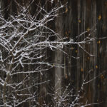 Refleksji kilka o bólu w ciele