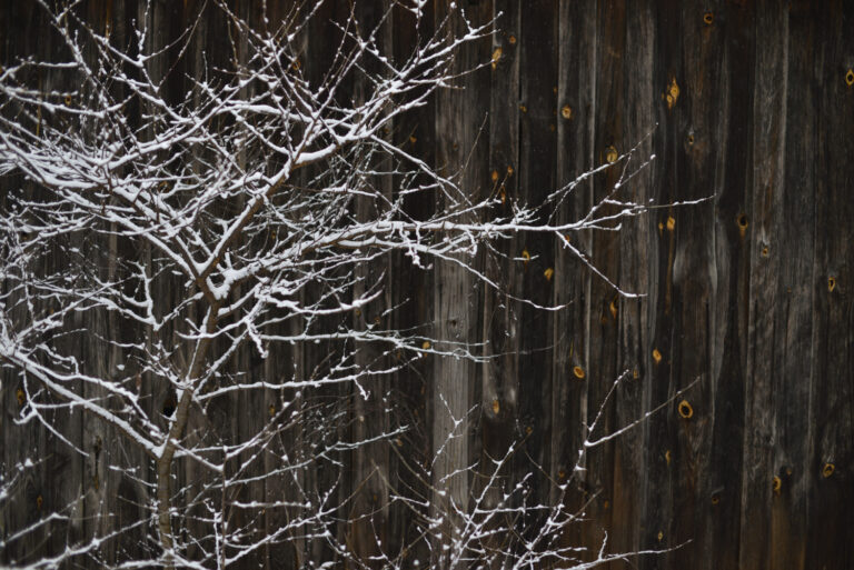 Refleksji kilka o bólu w ciele