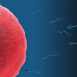 Powstałem z ogromnej miłości